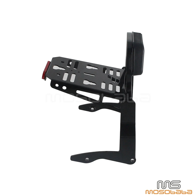 Harley Road Glide Ultra FLTRU CVO / SE FLTRUSE Fixed Sissy Bar (2015-2019)