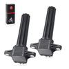 Yamaha F250 2 x Ignition Coil Pair (2007–2017)