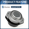 BMW 730Li E66 2000-2008 3.0L Engine Mount