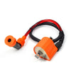 Arctic Cat ATV 300 Ignition Coil Spark Plug And CDI Box (1998–2005)