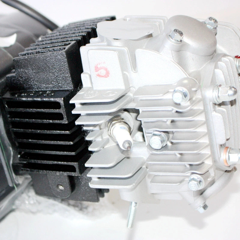 Lifan PIT Pro Dirt Bike 125cc Manual Clutch Engine Motor & Wiring Kit