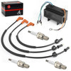 Polaris Genesis / Virage / TX / SLX / SLTX Pro 1200 Ignition Coil & Wires (1999-2002)