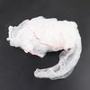 Various Makes & Models Car Protective Masking Film Cover (2020-2023)