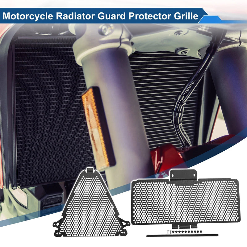 Ducati Streetfighter V2 Radiator Grille (2022–2024)