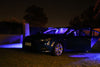 Ford Falcon LED Music Activated Door Strip Lights (EA- FG)