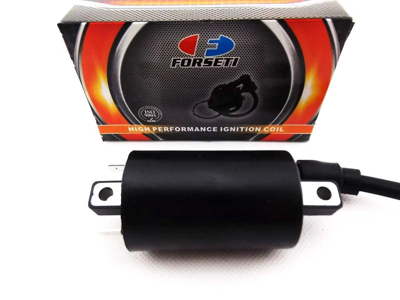 Suzuki RM100 Ignition Coil Assembly (1976-1981)