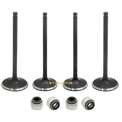 Polaris Predator 500 Valve Seals / Head Intake-Exhaust (2003–2007)