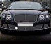 Bentley Continental GT GTC Chrome Mesh Grille Right (2012-2018)