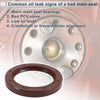 Nissan Pathfinder (1995-2004) 1 Pc Crankshaft Oil Seal