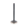 Suzuki QuadRunner 250 2x4 & 4x4 Bronco Engine Exhaust Valve (1987–2002)