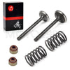 Club Car DS Precedent Golf Cart FE290 Valve Seal Kit (1992–2026)