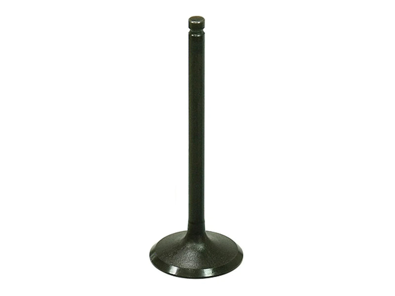 Suzuki QuadRunner 230 Bronco Engine Intake Valve (1986–1987)