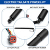 Ford Edge Rear LH Tailgate Lift Support (2015-2018)