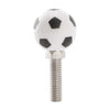 Motorcycle Bike Trike License Plate Bolts (2020-2023)