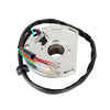 KTM 250 300 SX EXC Alternator Stator, Regulator, Gasket (2000-2003)