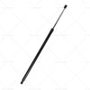 Hyundai Veloster Rear Tailgate Gas Struts (2012-2018)