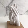 Keepsake Hands DIY Casting Kit 400g Clone Powder & 1000g Model Powder