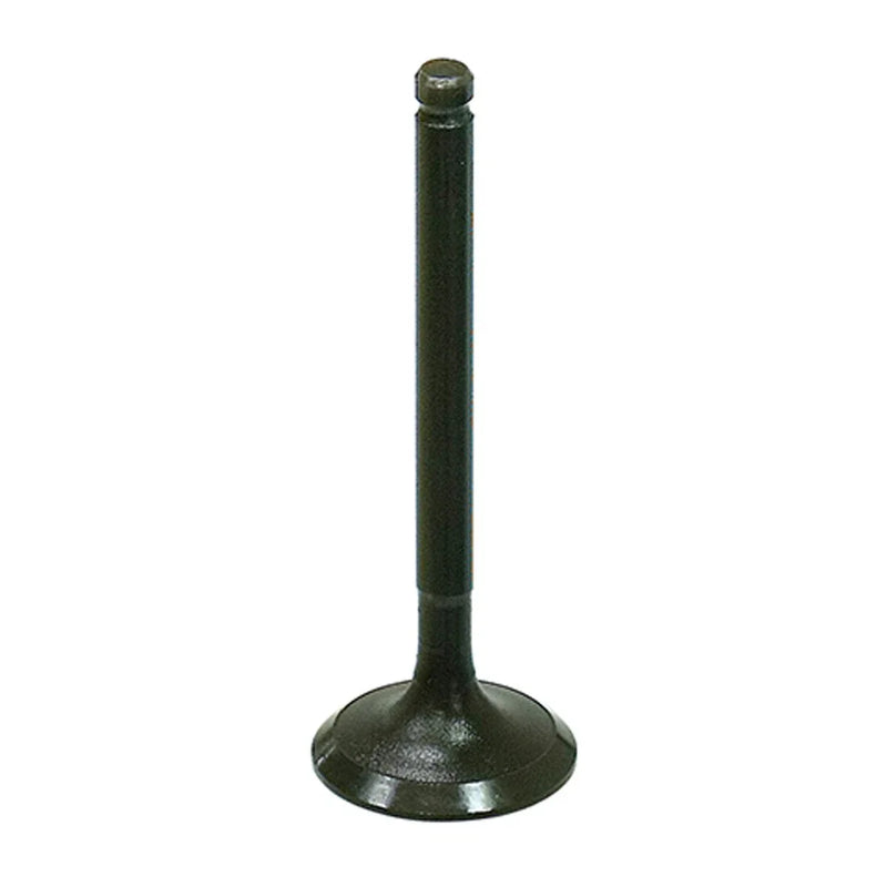 Yamaha Raptor 90 & Grizzly 90 Engine Intake Valve (2016–2024)