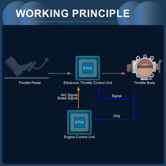 Throttle Body for Toyota 4Runner, Land Cruiser (2005-2009)