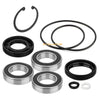 Honda Sportrax 250 Rear Axle Bearing & Seal 2x4 (2001–2022)
