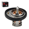 Honda TRX500FA Foreman Rubicon Thermostat & O-Ring