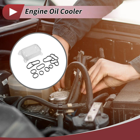 Chevrolet Aveo Engine Oil Cooler 1 Set Trans Cooler (2011-2014)