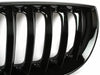 BMW E83 X3 Front Bumper Kidney Grille (2003-2006)