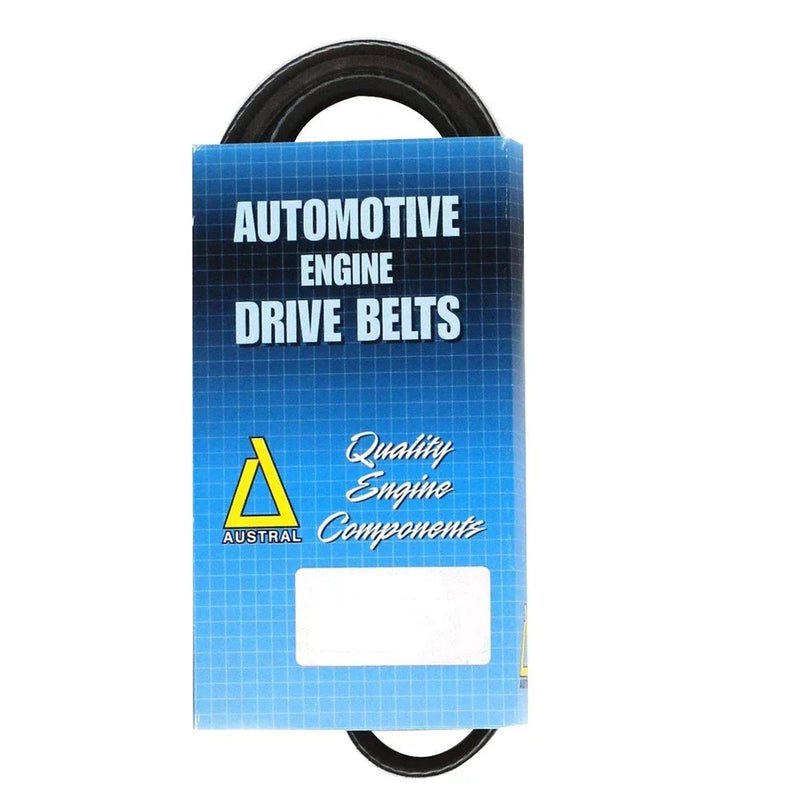 MG MG3 Multi ribbed drive belt