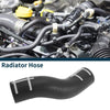 Porsche Panamera Radiator Hose (2010-2014)