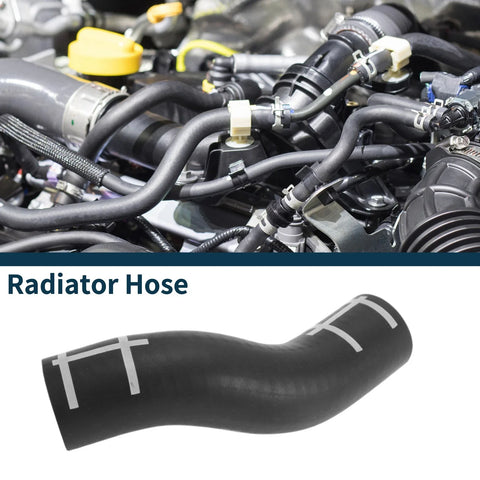 Porsche Panamera Radiator Hose (2010-2014)