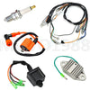Yamaha Blaster 200 YFS200 Ignition Coil Wiring Harness CDI (97-01)