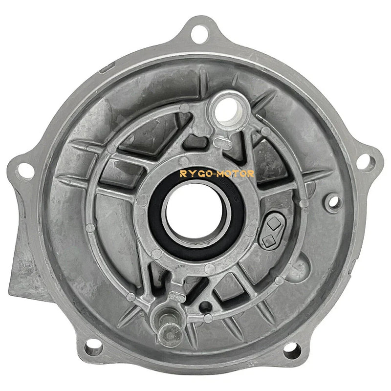 Honda TRX250X Rear Brake Plate Panel (2009–2022)