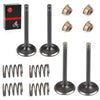 EZGO Golf Cart Intake Exhaust Valves & Seals (1992–1995)