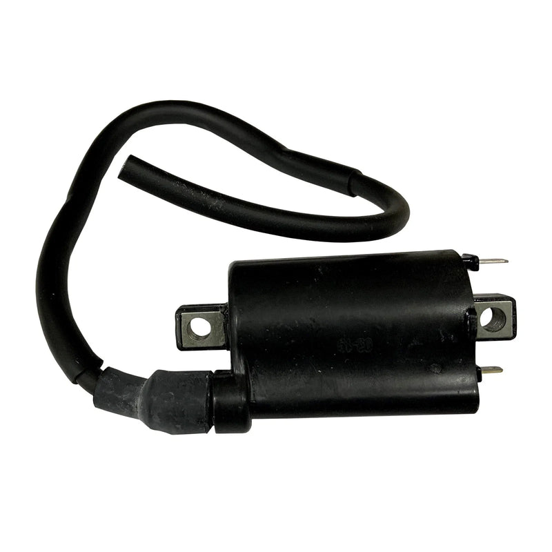 Kawasaki Many Ignition Coil (2001–2020)