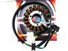Suzuki GS125 Stator Magneto Generator Assembly (1982-1994)