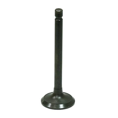 Yamaha Breeze 125, Raptor 125 & Grizzly 125 Bronco Engine Exhaust Valve
