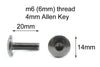 Kawasaki Ninja ZX-10R Wellnut (2004–2005)