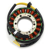 Aprilia Pegaso 650 IE Magneto Stator Coil (1995-2004)