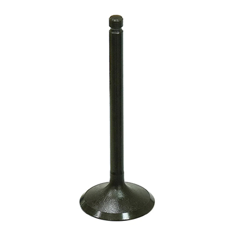 Yamaha Big Bear 350, Moto-4 350 & TerraPro Bronco Engine Intake Valve
