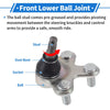 Honda Civic Front Lower Ball Joints (2017-2021)