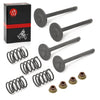 EZGO 4 Cycle Gas Golf Cart 350cc EH35C Intake Valve Set (2003–2008)