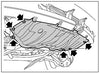 Range Rover L322 26x Bolts & Clips Front Undertray Gearbox (2002–2012)