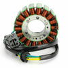 Can-Am DS 250 Stator (2006-2010)