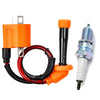Suzuki LTZ400 Quadsport 2003-2013 with Spark Plug Ignition Coil