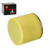 Honda TR200 Fat Cat Air Filter (1986-1987)
