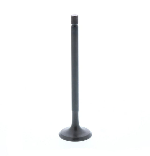 Honda ATC 185 200 Psychic Engine Exhaust Valve