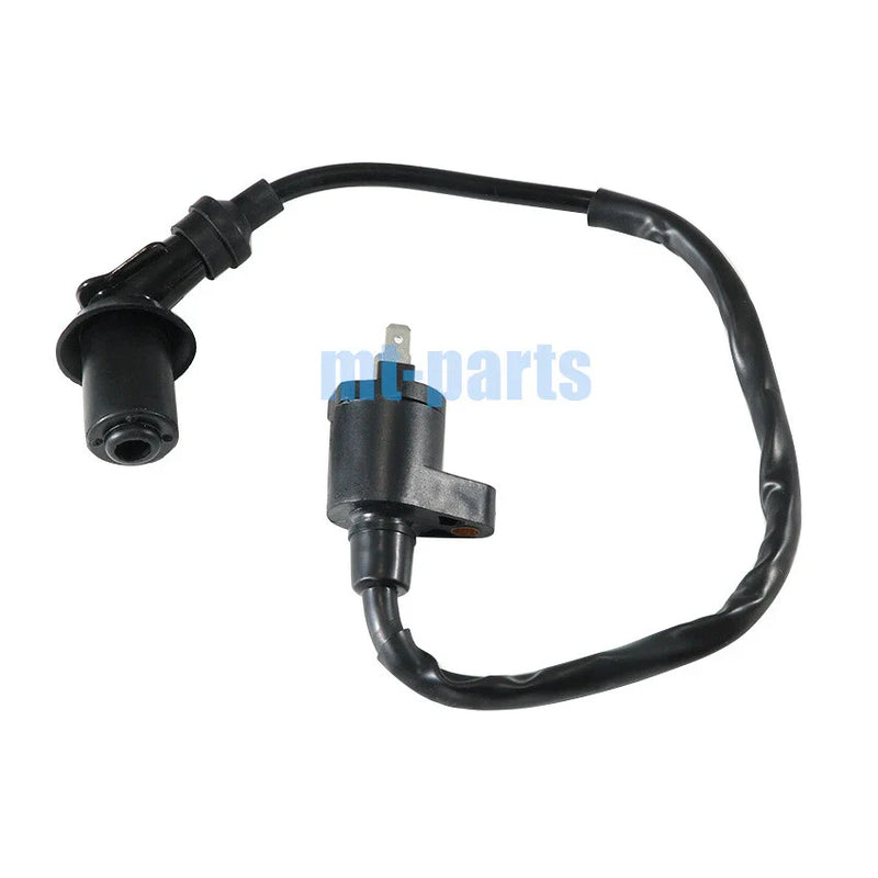 Polaris PHOENIX 200, SAWTOOTH 200 Ignition Coil (2005-2023)
