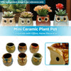 Succulent Flower Home Decoration 6 x Mini Ceramic Owl Plant Pots