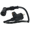 Kymco Agility 50, Filly, People S 50, Super 8 125 Ignition Coil (2006-2023)