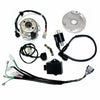 LIFAN W150 150cc Dirt Bike Magneto Stator Wiring Harness Loom